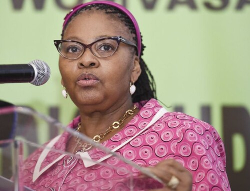 Mapisa-Nqakula should have presented herself to the police from Day 1